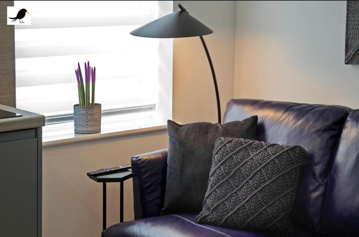 Apartment Blackbird And Luxury 14 Blackpool