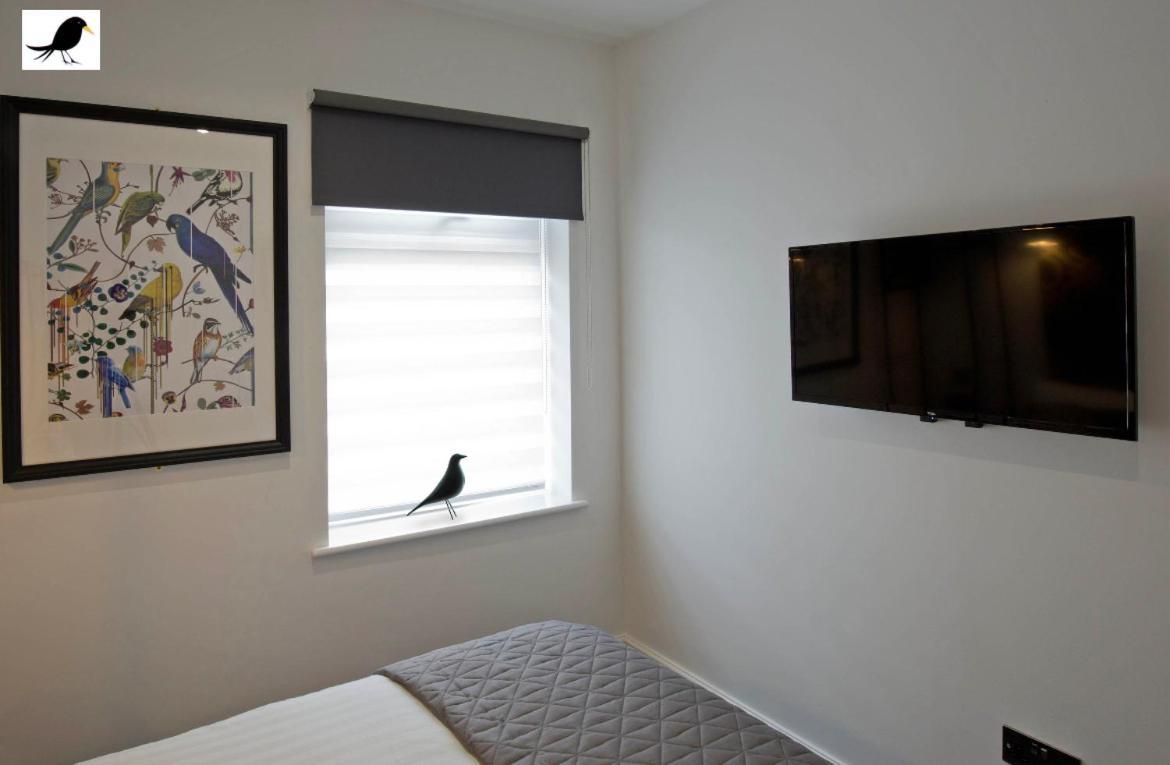 Blackbird And Luxury 14 Apartment Blackpool
