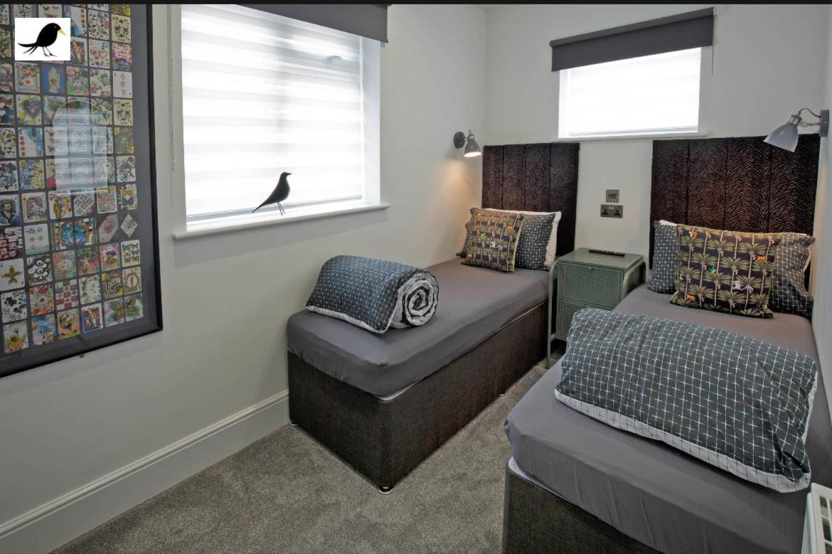 Blackbird And Luxury 14 * Blackpool