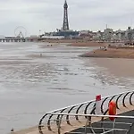 By The Seaside