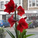 The Argyll