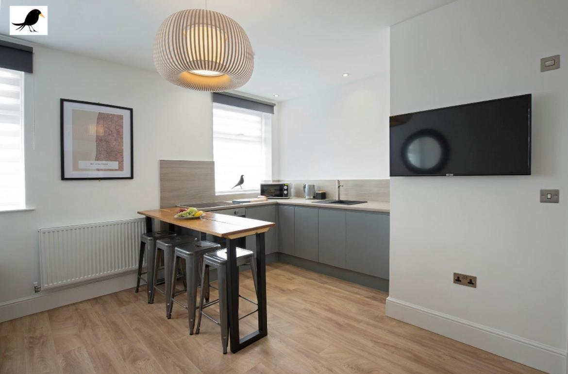 Apartment Blackbird And Luxury 15