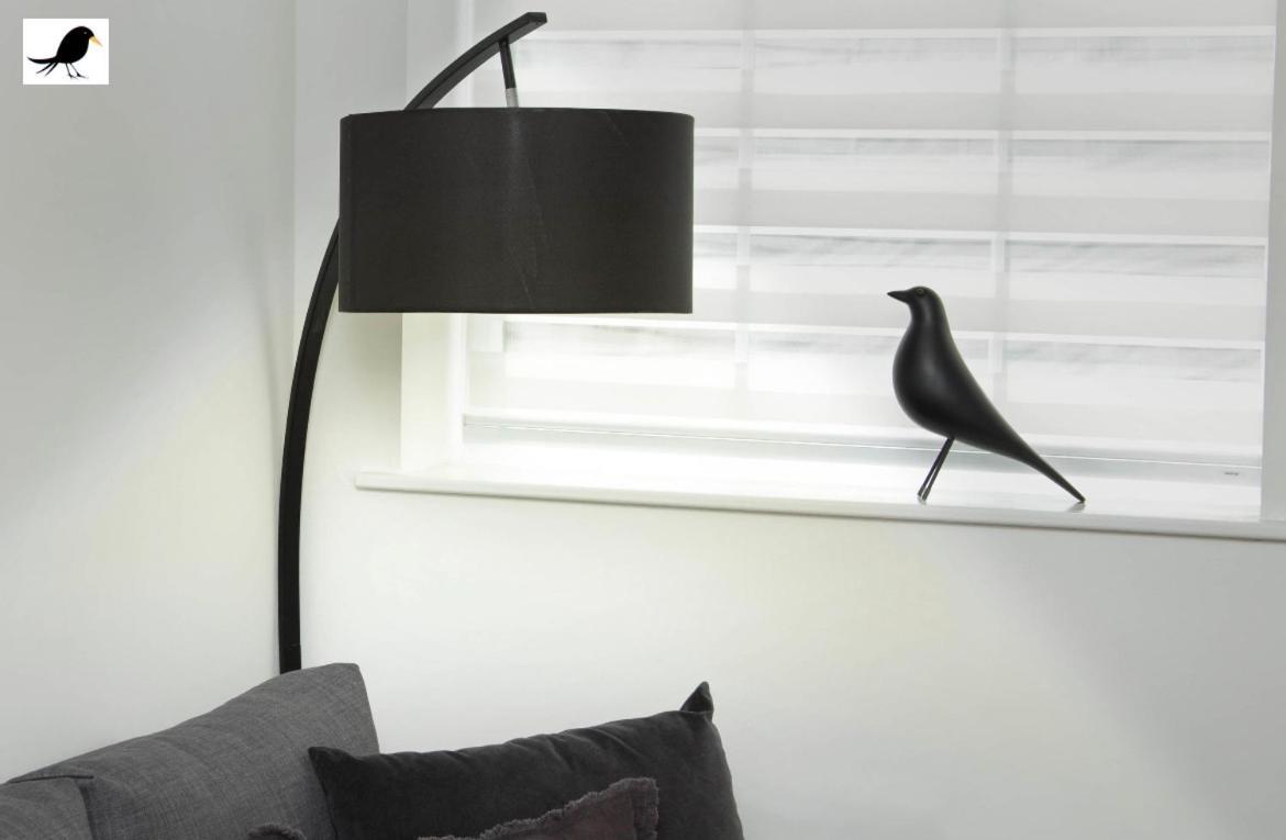 Blackbird And Luxury 15 *