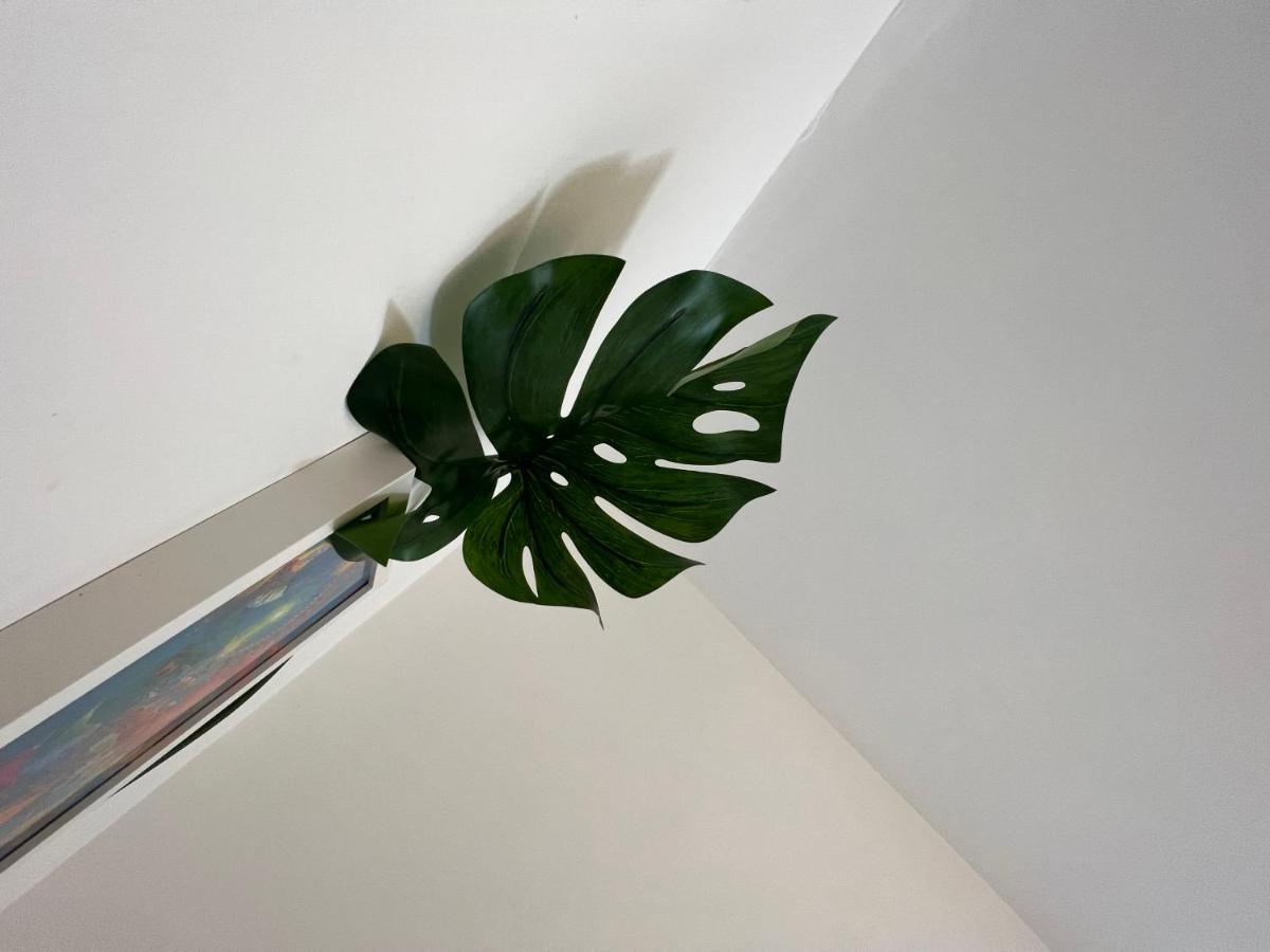 Tropical Apartment, 10 Min From Tower, Outside Space, Sleeps 12 *