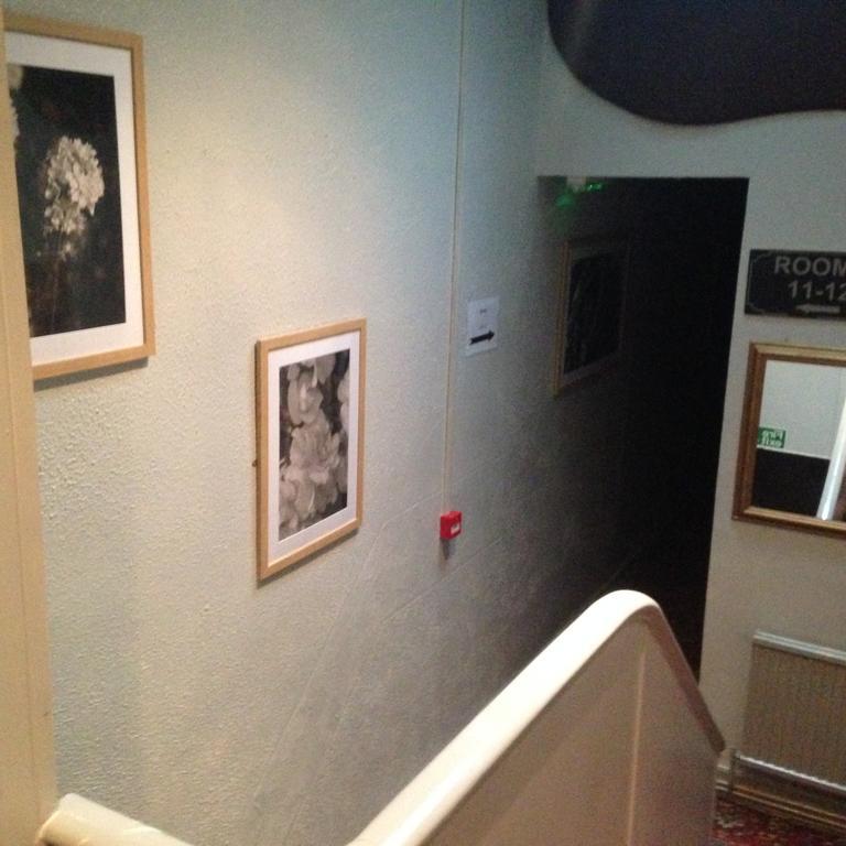 Peek-A-Booze - Budget Hotel - Adults Only 2*