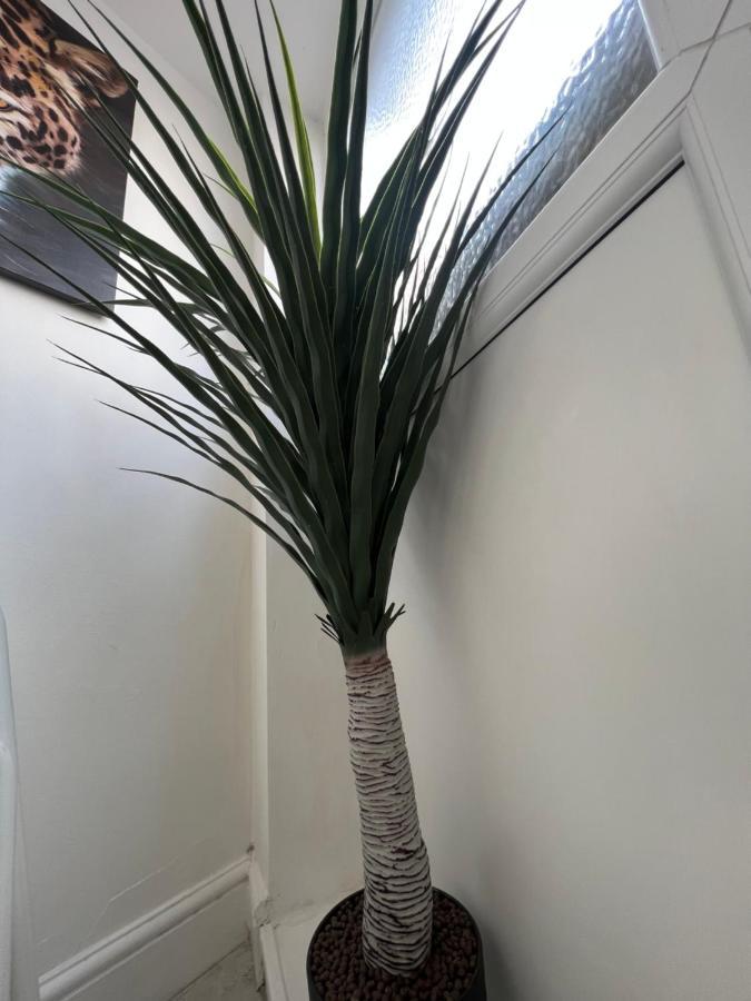 Apartment Tropical Apartment, 10 Min From Tower, Outside Space, Sleeps 12