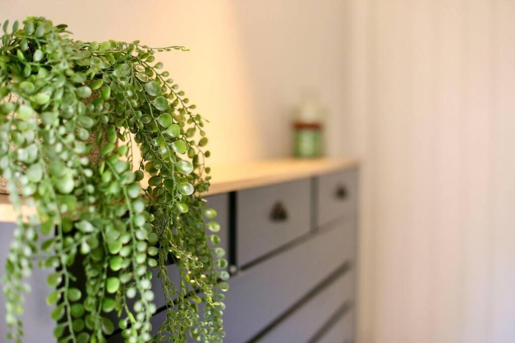 Xxbrand Newxx Sleeps 8, Stylish Japandi House