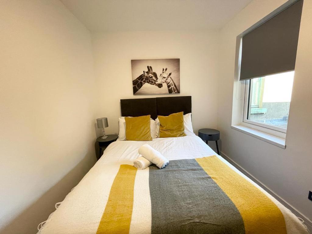The Sasco Apartment *