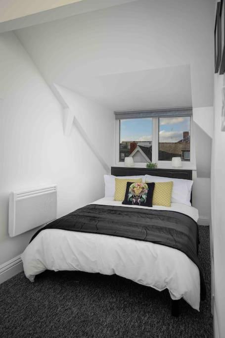 Beautiful 5 - Free Parking & Long Stays Apartment