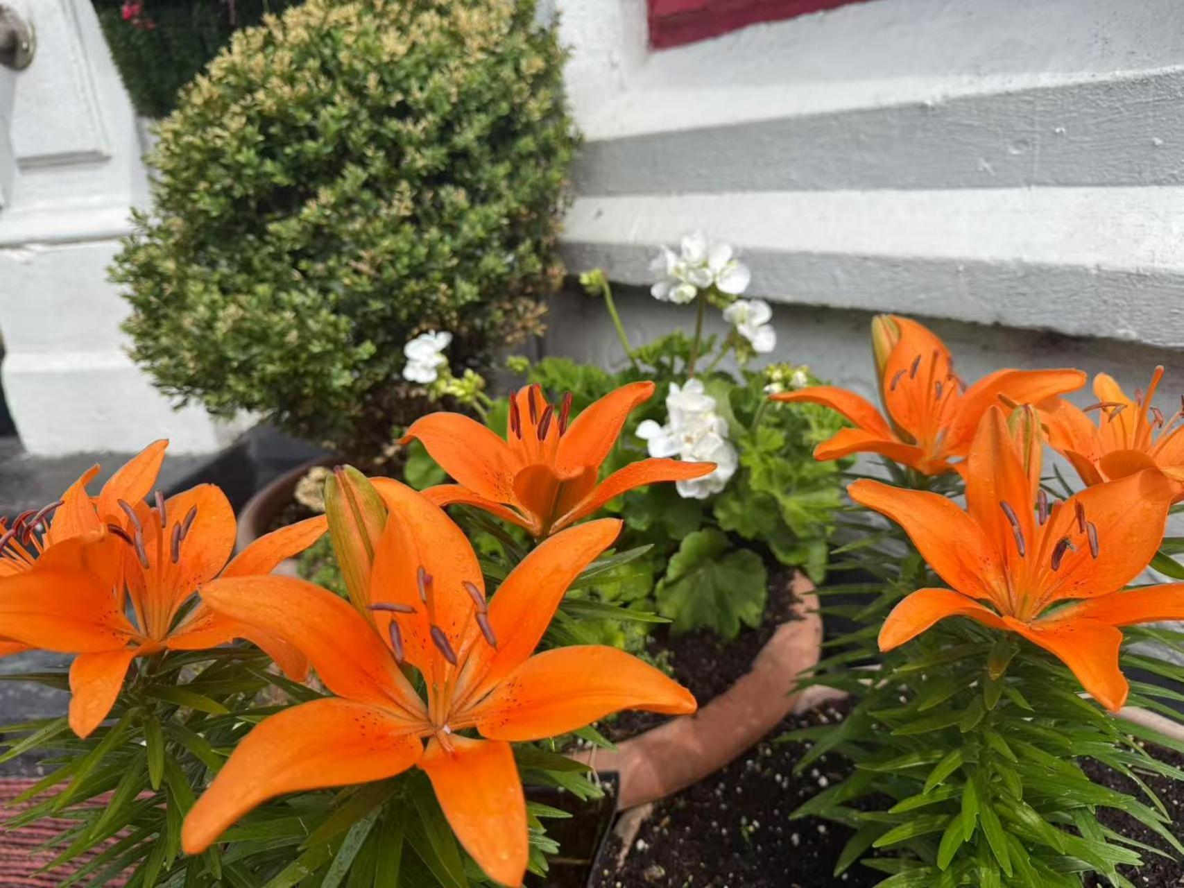 The Aberford Guest house 3*