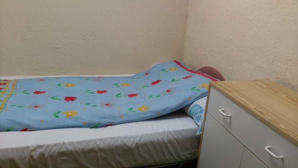 Hostel The Satter International *
