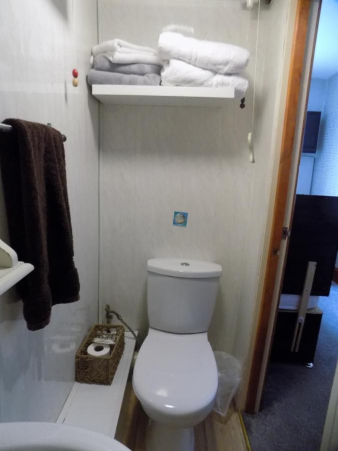 Tracey's Driftwood 3*