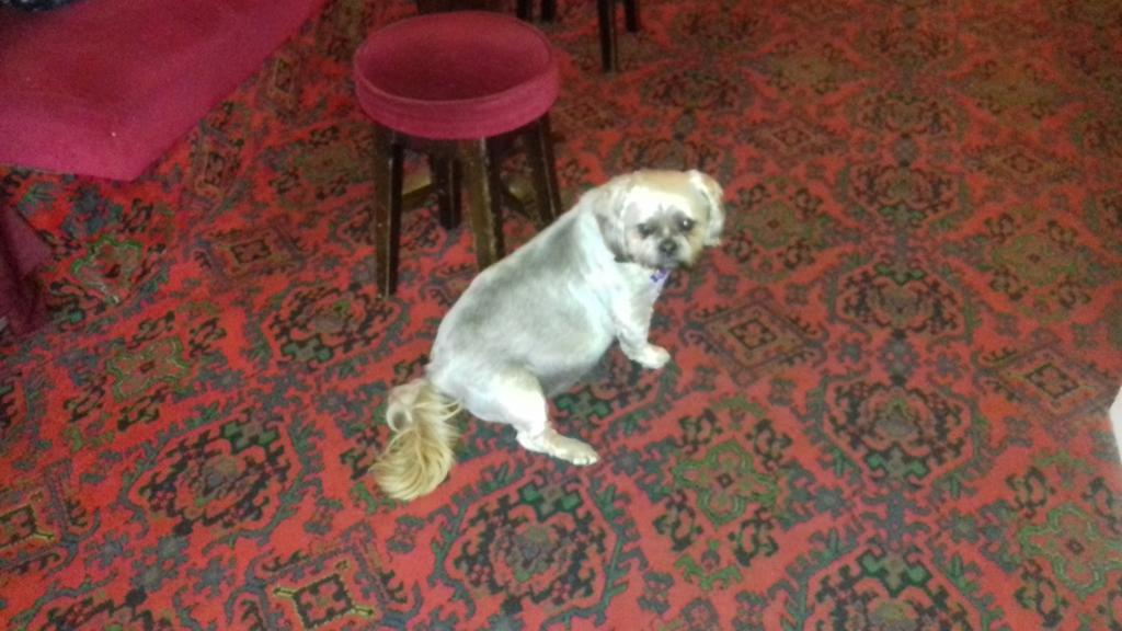Hotel Elmfield 3*