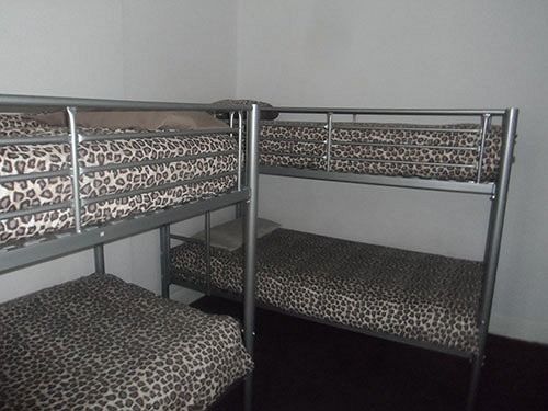 The Hangover Hostel *