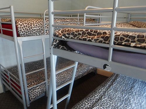 The Hangover Hostel
