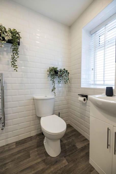 Albert Rd By The V Group Blackpool